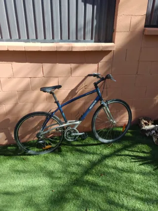 Lote de tres bicicletas muy buen estado 125€