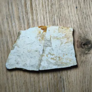 FOSIL DE PEZ EN PIEDRA