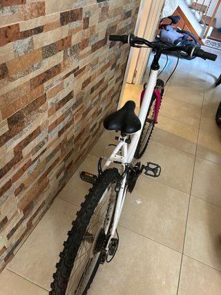 Bicicleta blanca
