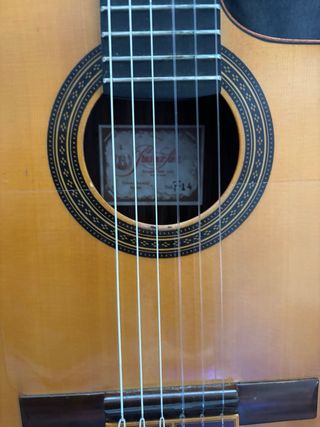 Guitarra flamenca Prudencio Saez + Fishman+funda