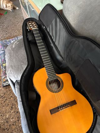 Guitarra flamenca Prudencio Saez + Fishman+funda