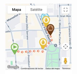 Paseo de perros monitoreados