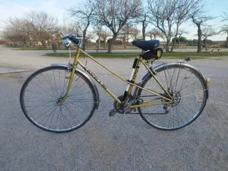 Bicicleta BH Gacela Original