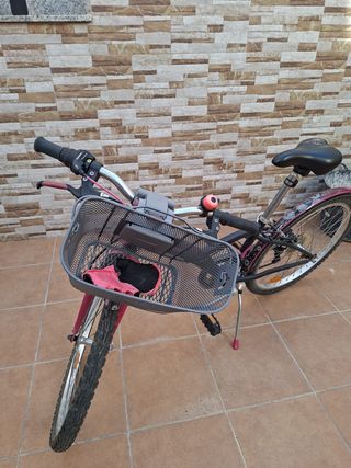 Bicicleta Niña Paseo Buen Estado