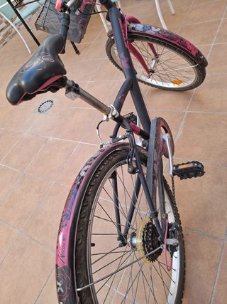 Bicicleta Niña Paseo Buen Estado
