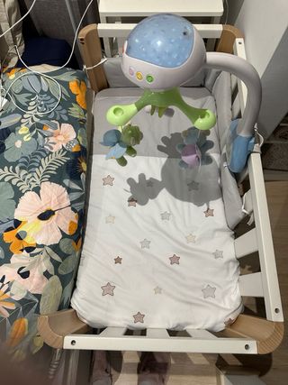 Minicuna colecho Continfant Doco Sleeping