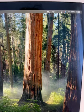 MacBook Pro 15 Gris Espacial