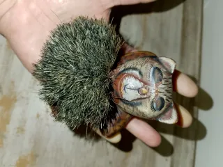 Antiguo cepillo de colección