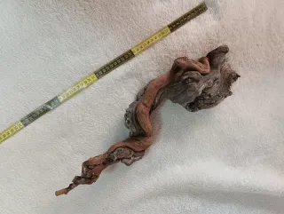 Madera de vid para terrario/acuario