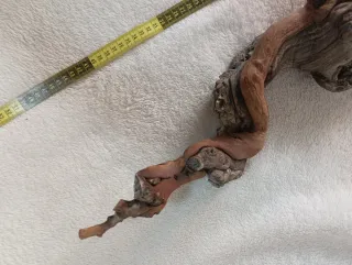 Madera de vid para terrario/acuario