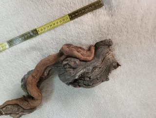 Madera de vid para terrario/acuario