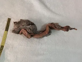 Madera de vid para terrario/acuario