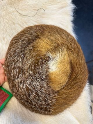 Cappello in pelliccia marrone e giallo