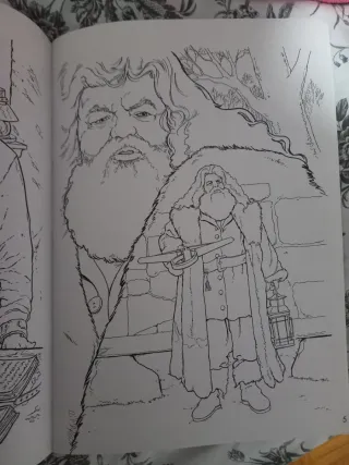 Libro para colorear Harry Potter