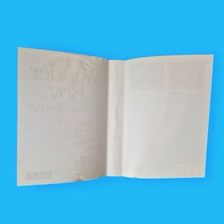 Wonder Boy / Master System