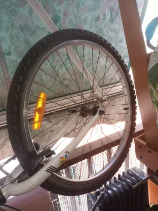 Bicicleta Montaña Infantil 24"