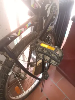 Bicicleta Montaña Infantil 24"