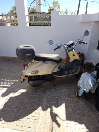 MTR Mallorca Beige/Negro Automática