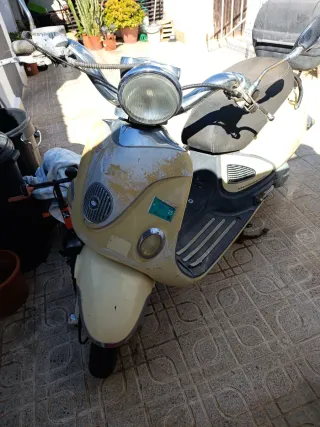 MTR Mallorca Beige/Negro Automática