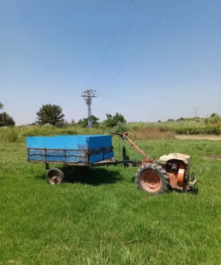 MULA MECÁNICA PASCUALI DIÉSEL