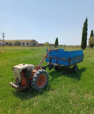 MULA MECÁNICA PASCUALI DIÉSEL