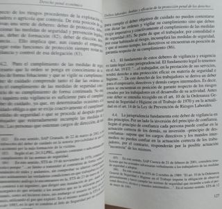 Derecho penal económico