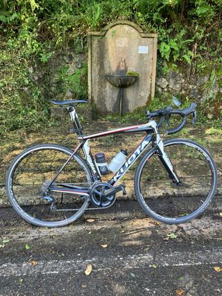 Kuota kougar carbono