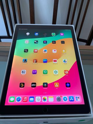 iPad Pro 12.9 2da Gen WiFi + Cellular 256GB