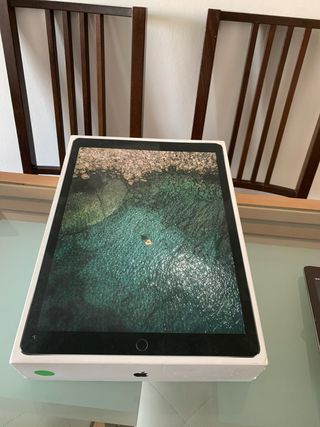 iPad Pro 12.9 2da Gen WiFi + Cellular 256GB