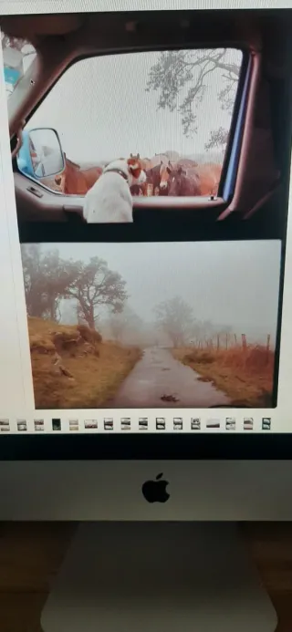 Yashica Samurai X3 prácticamente nueva.