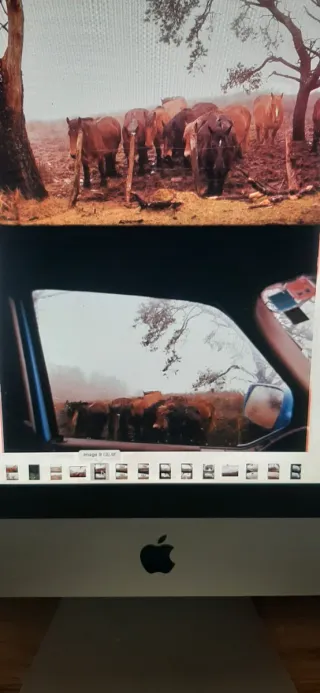 Yashica Samurai X3 prácticamente nueva.