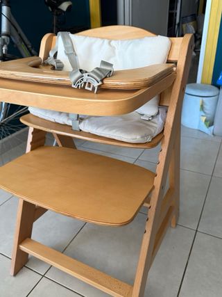 Silla evolutiva hauck