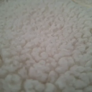 Abrigo Zara borreguito T.11-12