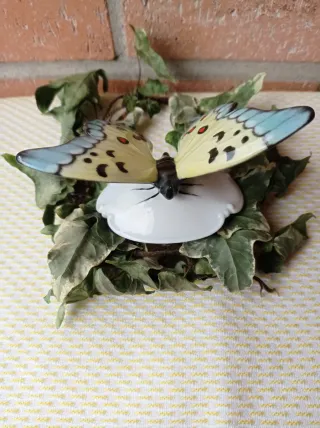 Mariposa porcelana antigua