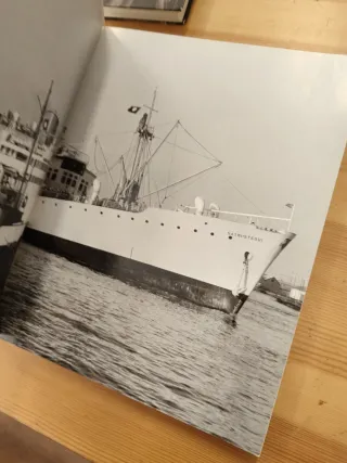 Eidosomática : biología de la buena salud