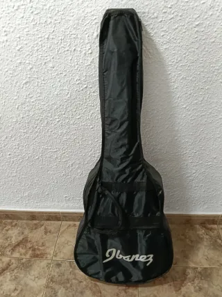 Guitarra Acústica Rochester