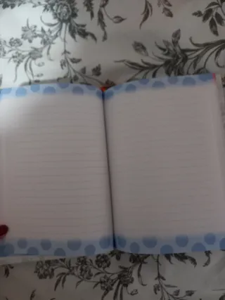 Diario Mi primera comunión