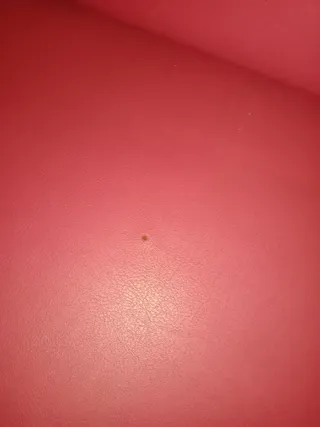 Sillón de piel rosa