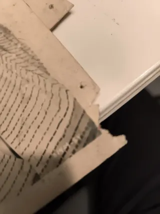 Fotografías La hija de Neptuno