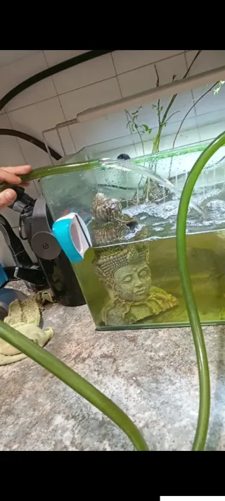 Filtro Cristal Profi 701