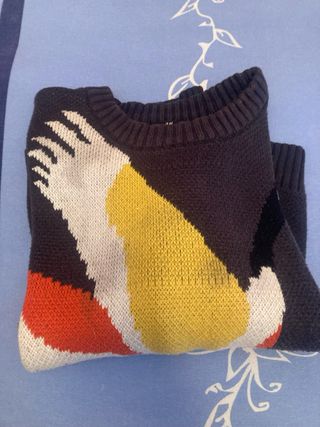 Jersey con estampado de pájaro