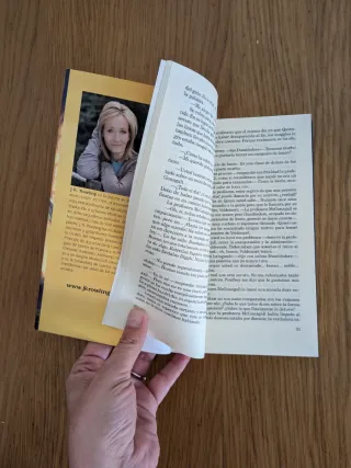 Harry Potter y la piedra filosofal (Harry Potte...