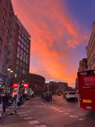 Busco trabajo como cuidador . Pintor. Jardinería