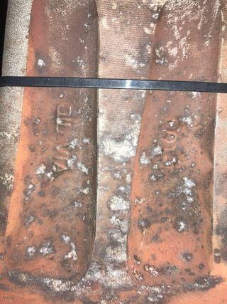 Llanta Audi RS6 A4 B7