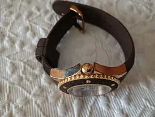 Reloj Time Force Marrón y Dorado. Mod. TF3301L