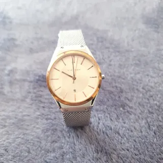 Reloj Viceroy Mujer Dorado y Plateado