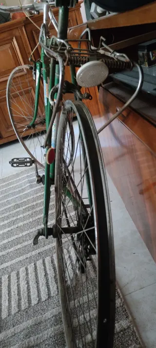 Bicicleta Clásica Verde