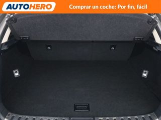 Lexus NX NX 300h Sport Edition