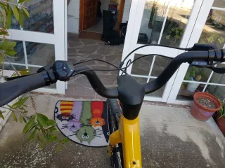 Bicicleta Eléctrica Trek modelo Verve