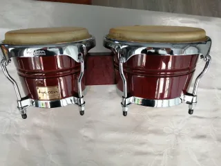 Bongos Tycoon Master